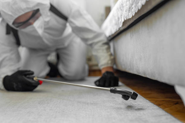 Professional Cockroach Control technician working in Milford city, CT