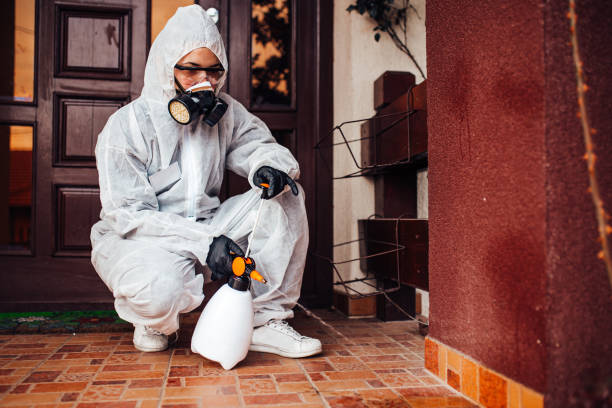 Reliable Cockroach Control contractor in Milford city, CT by Nex Pest Control