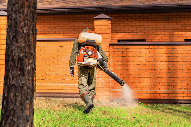 Trusted Cockroach Control service in Milford city, CT - Nex Pest Control